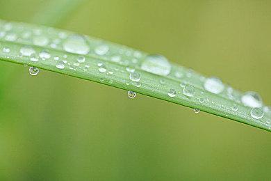 被取消开发的《古惑狼5》曾计划联动《小龙斯派罗》